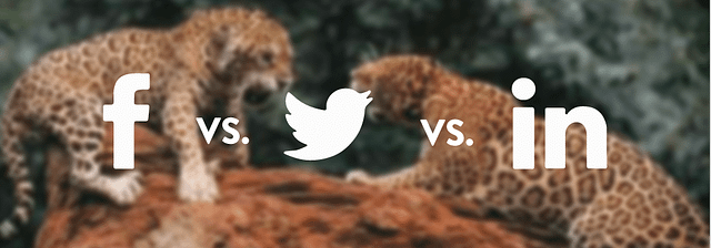 Twitter vs. Twitter vs. LinkeIn Ads - Competition Case Study, Competitive