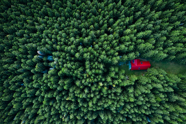 Evergreen Content Strategies