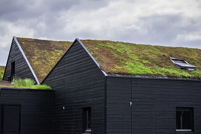 green roofs