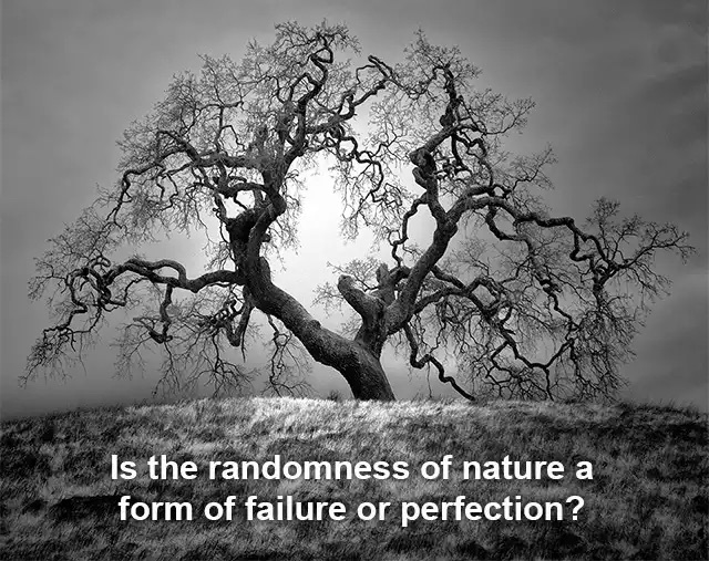 Perfection in web design
