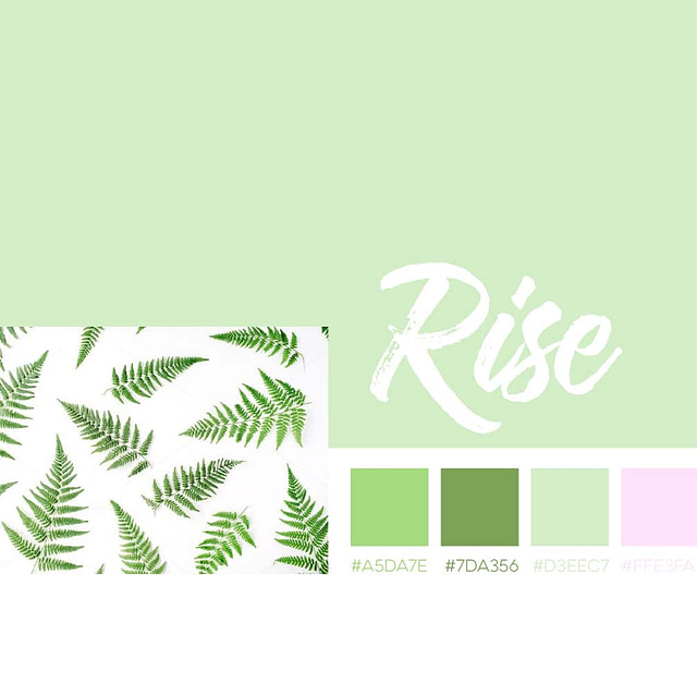 Rise - Green and Pink Color Scheme for girls, feminine color schemes 2017