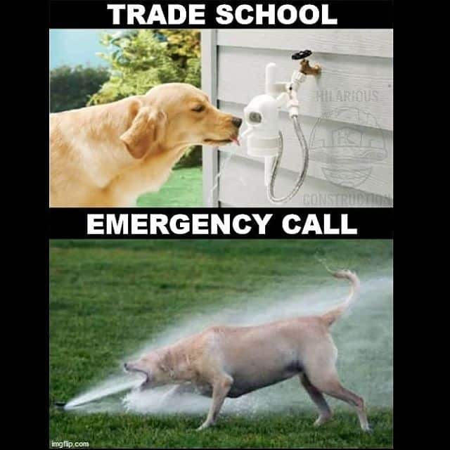 dog drinking water and getting sprayed by the hose meme