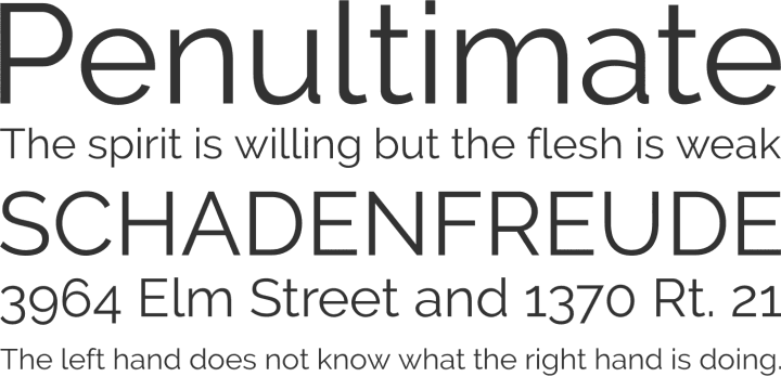 Raleway - Best Google Fonts of 2015