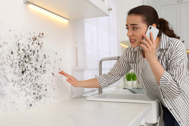 calling about mold on wall
