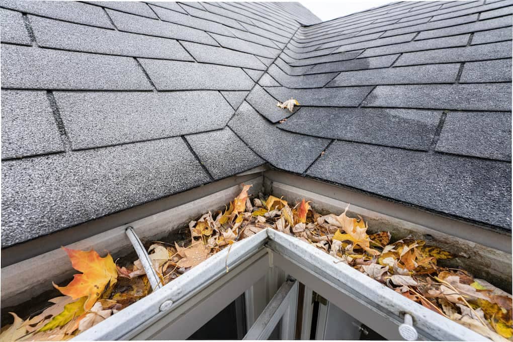 roof valley and gutters full of leaves on a residential roof; gutter sizing