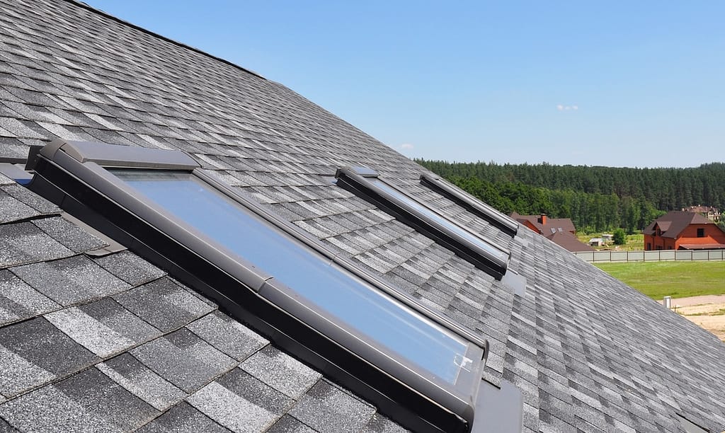 Skylights on black roof