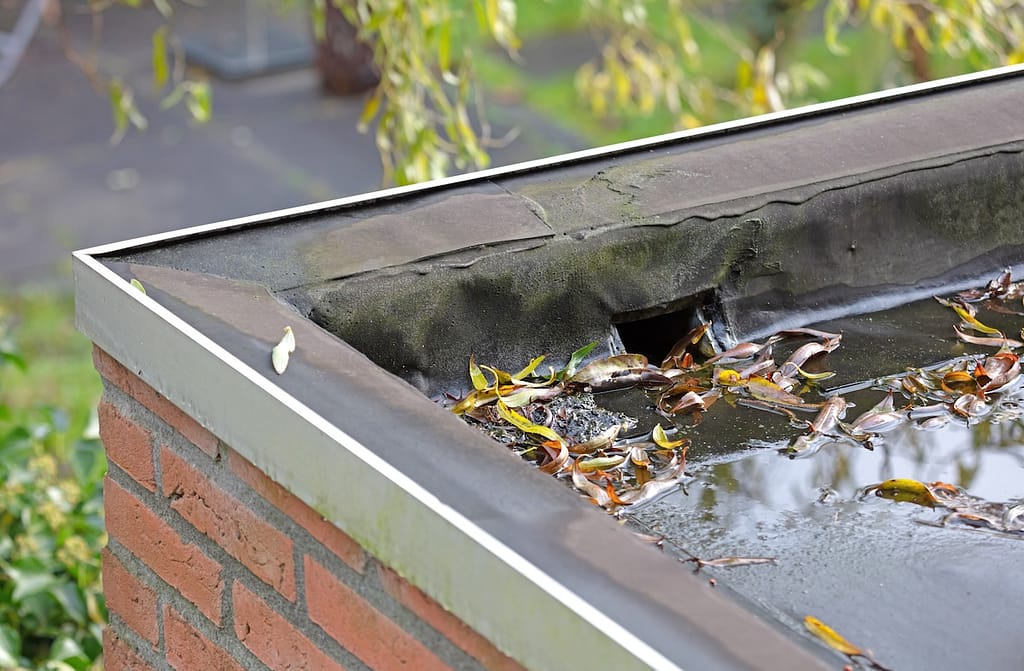 Water drainage on a flat roof