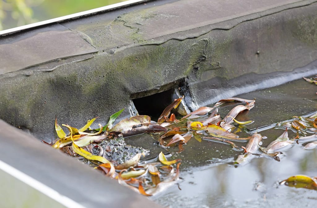 draining flat roof