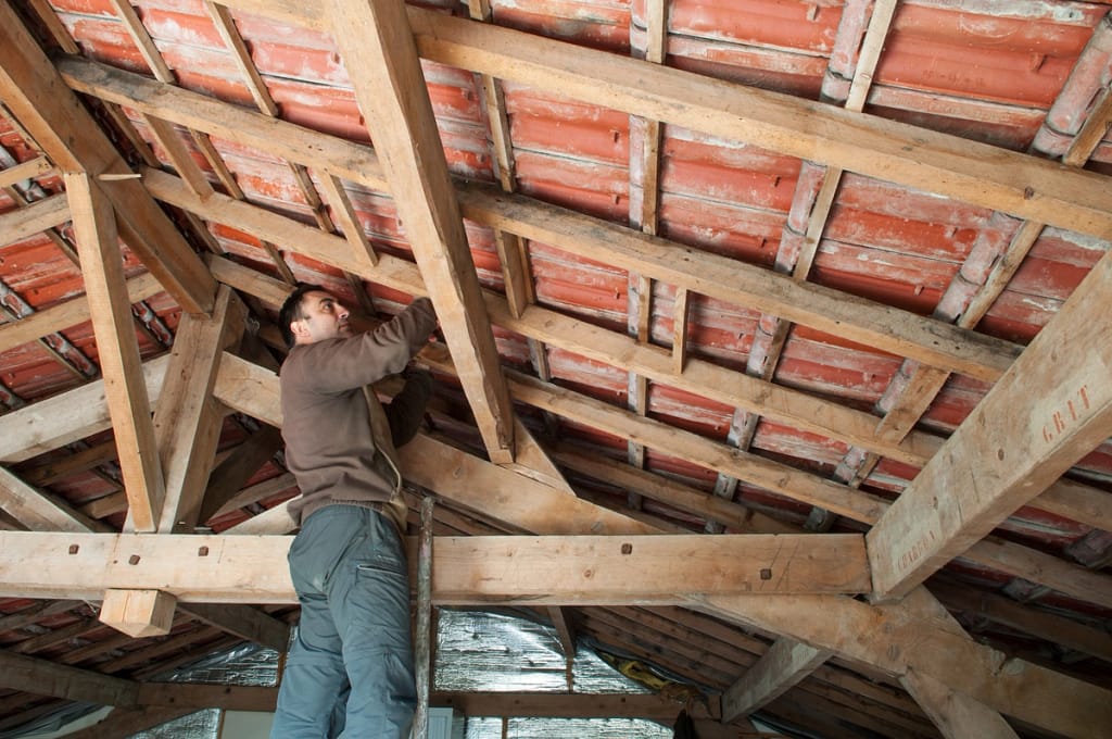 attic inspection looking for signs of a roof leak
