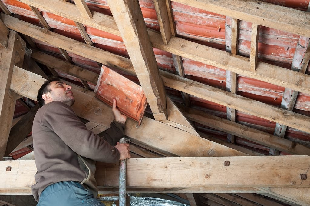 attic issues