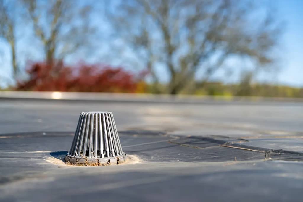 A close-up of a roof drain on a flat roof, featuring a small, gray, protective cover. Background shows blurred trees and foliage under a clear blue sky.
