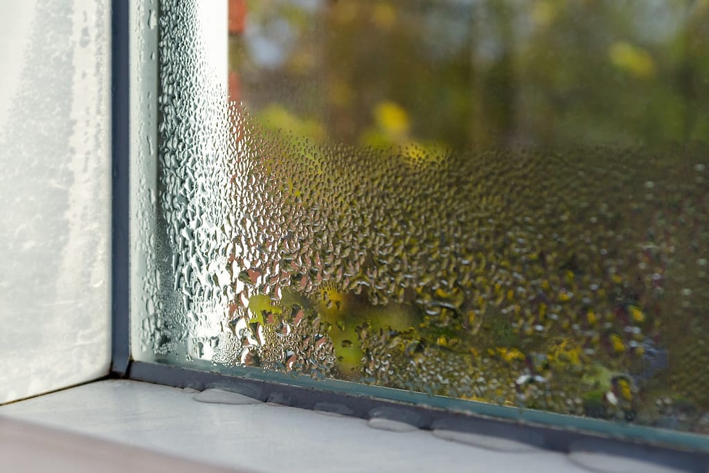 basement window leaking