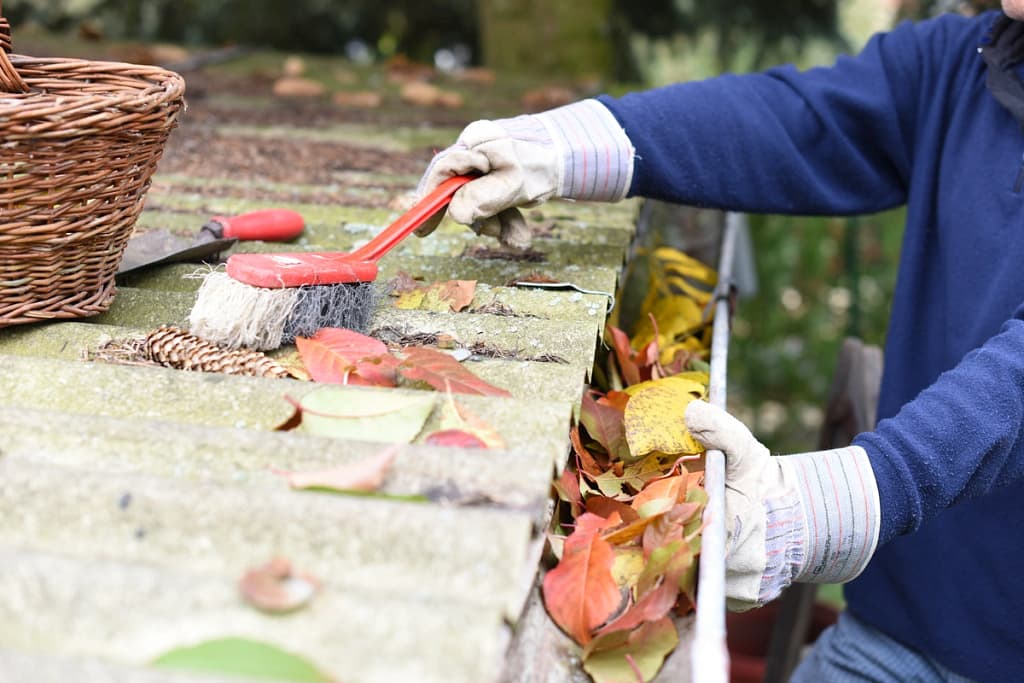 brush on the roof