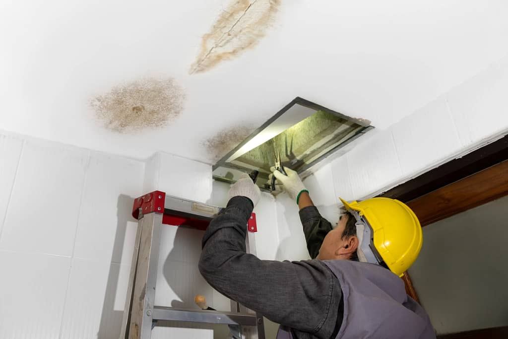 water stains on the ceiling