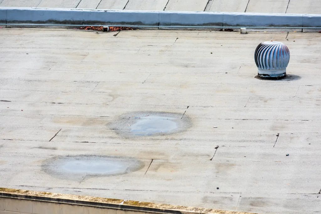 two small puddles on roof