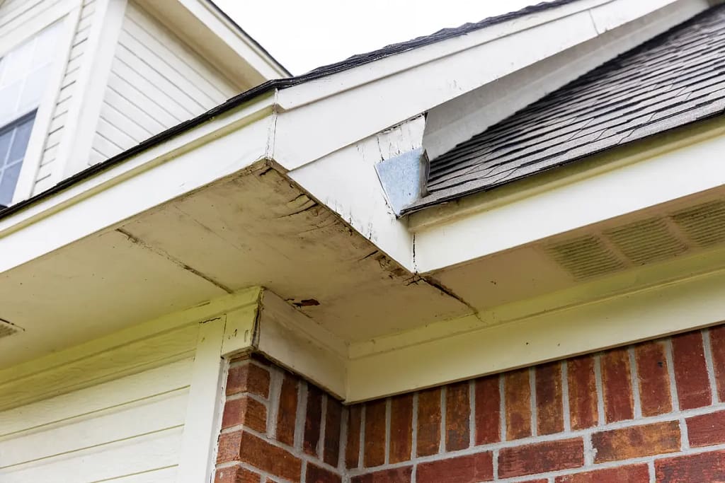 damaged fascia