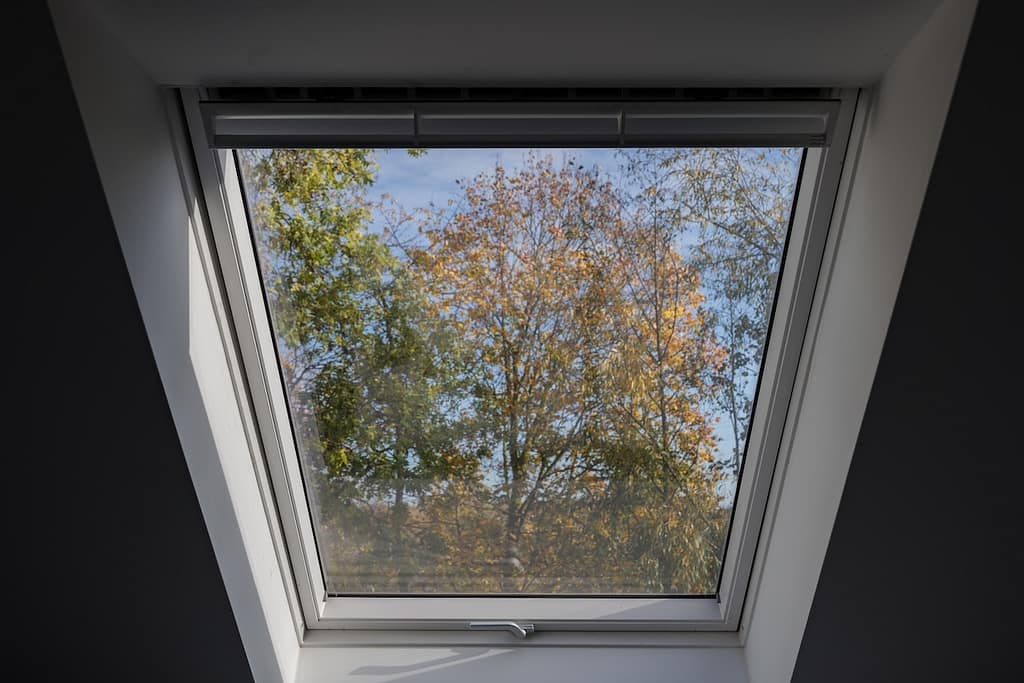 a skylight with trees outside