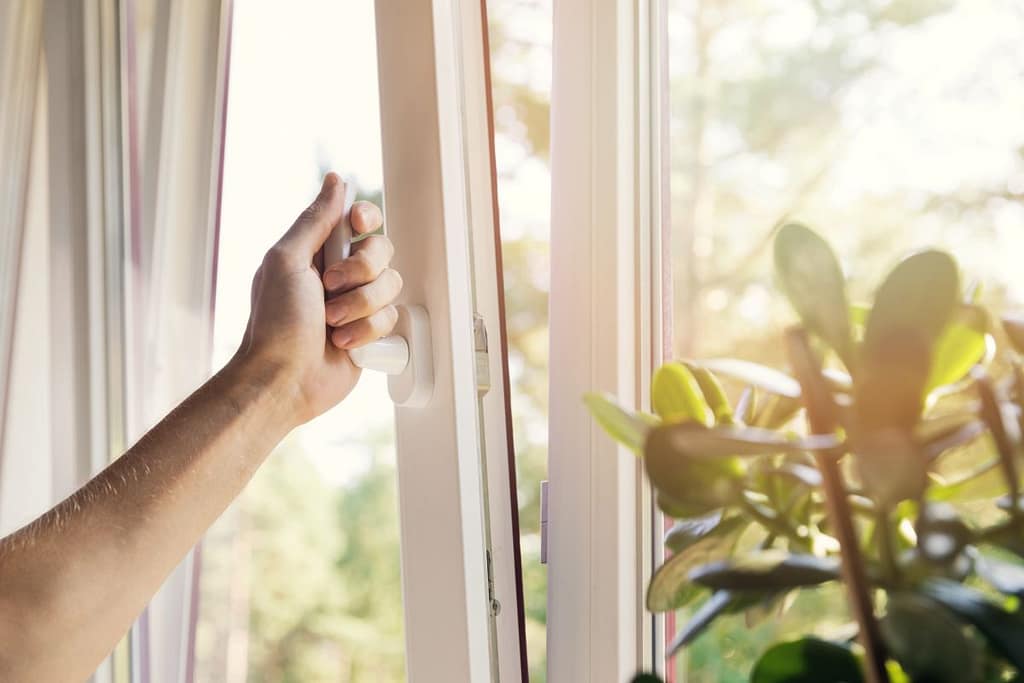 a hand opening a white window with a plant next to it