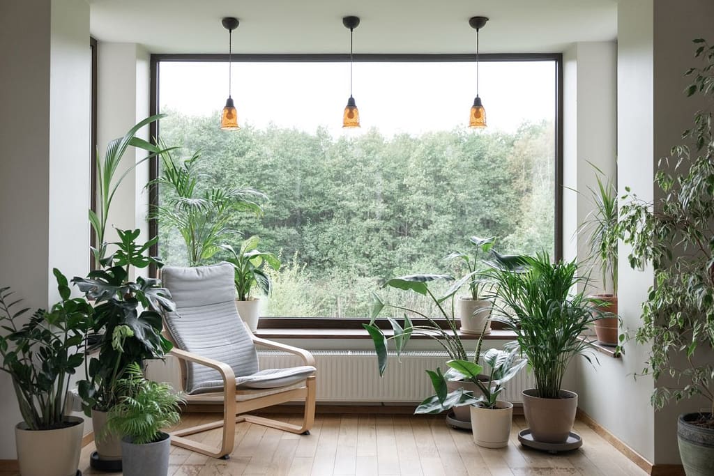 cozy nook in a living room with a large window and many plants