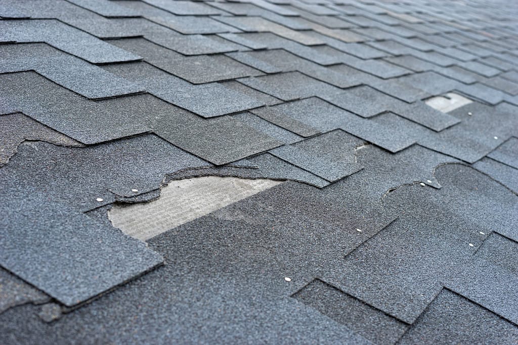 damaged asphalt shingles on roof