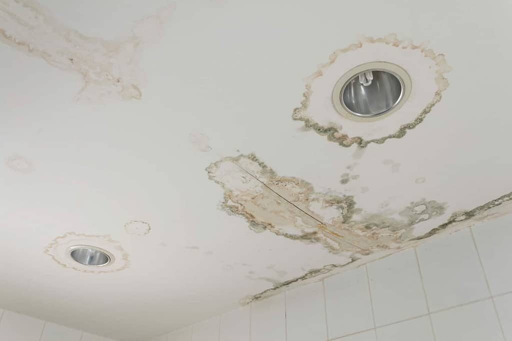 roof water damage seen as water stains on a ceiling