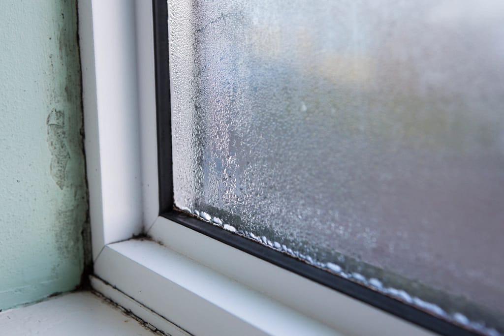 mold and damp buildup due to condensation between window panes