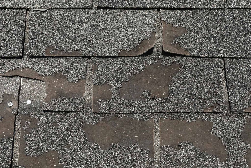 granule loss showing signs to replace roof