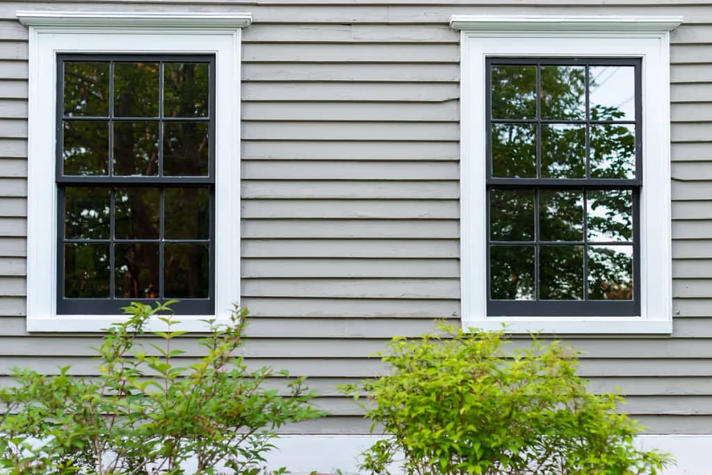 two windows and bushes