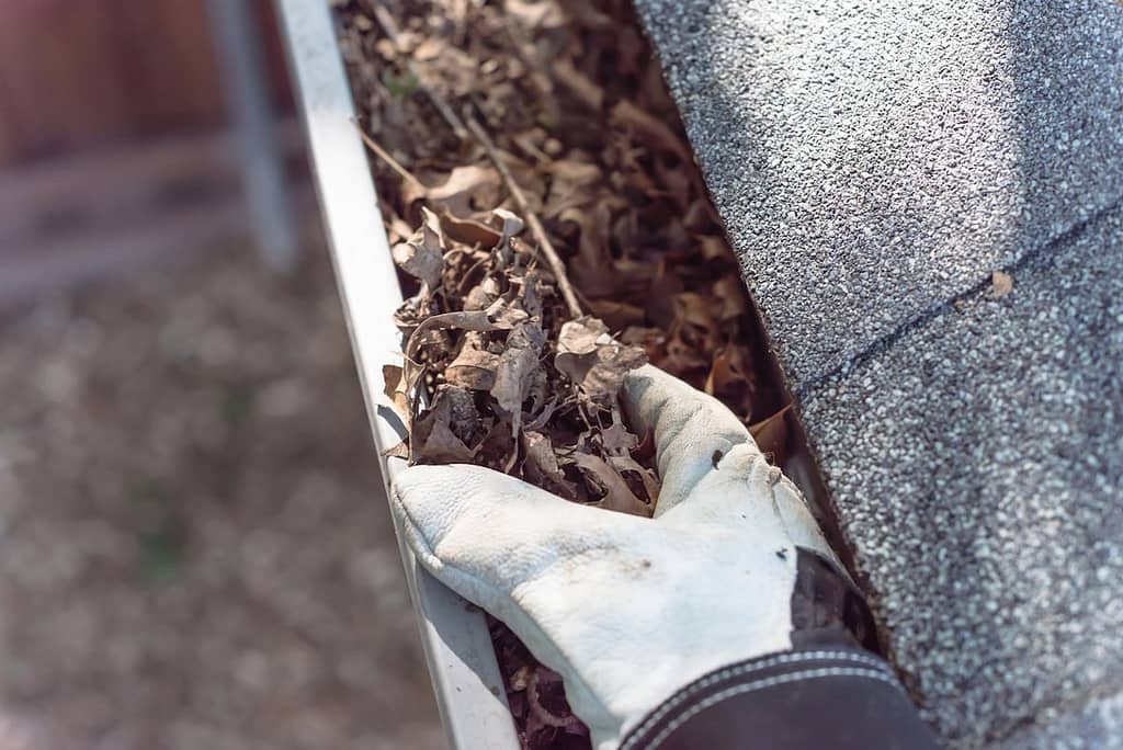 Top view man hand in gloves cleaning house gutter