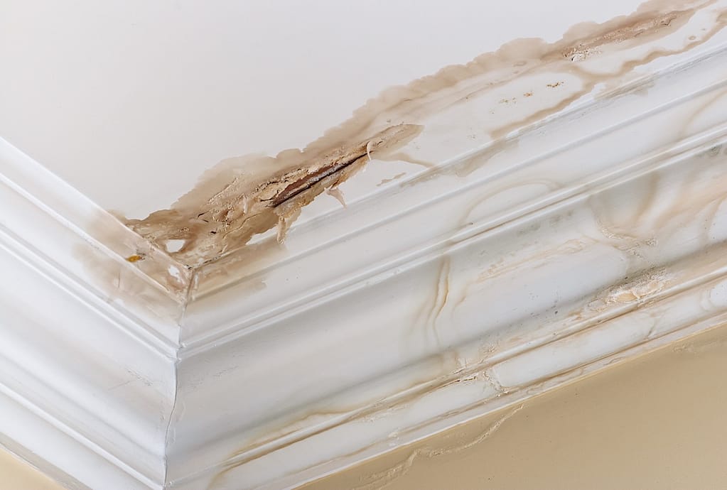 Peeling paint on an interior ceiling a result of water damage caused by a leak