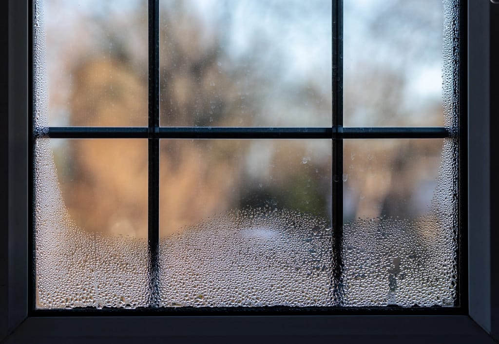 closeup of condensation buildup between window panes