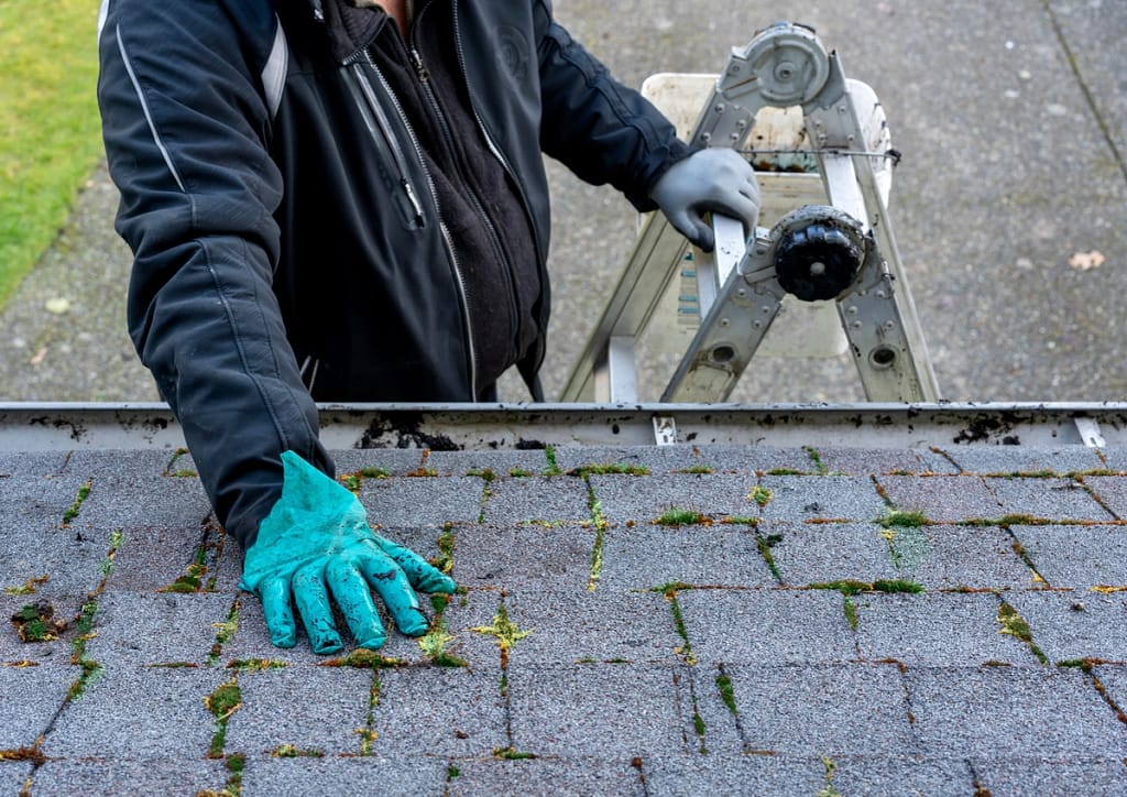 Roof inspector looking at a moss covered roofing, providing maintenance recommendations