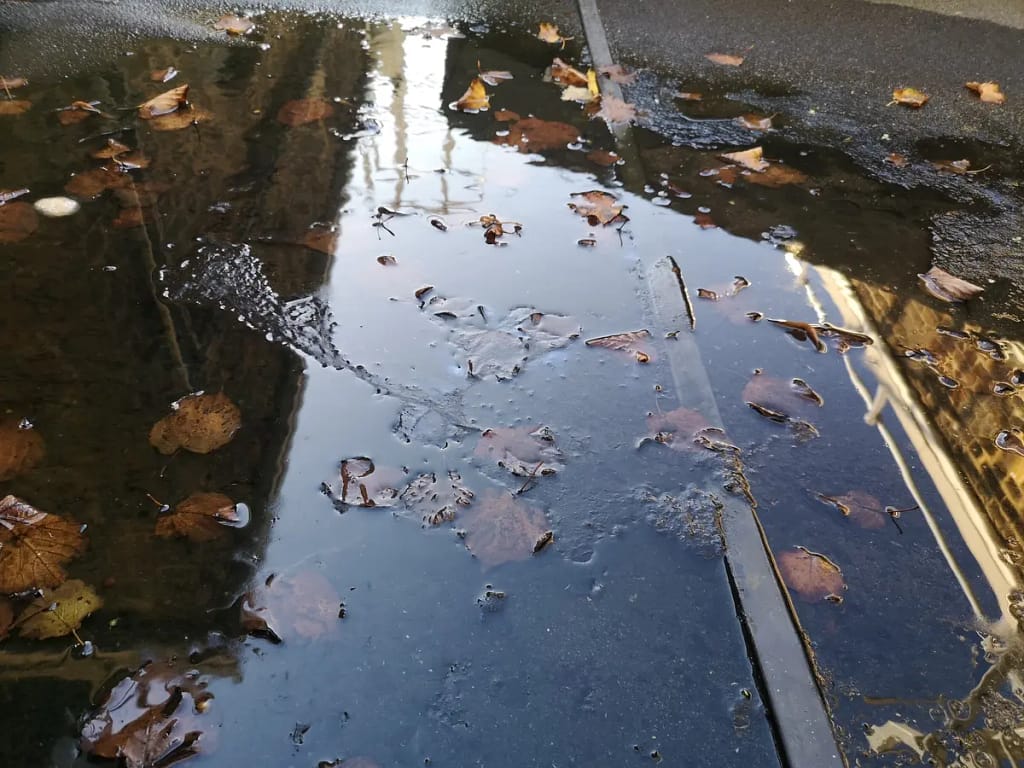 Puddle on a sidewalk reflecting a building and sky. Fallen autumn leaves are scattered in and around the water, creating a serene, reflective scene.
