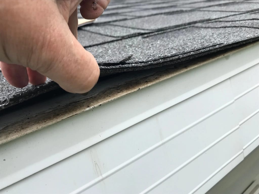 roof inspection checking drip edge