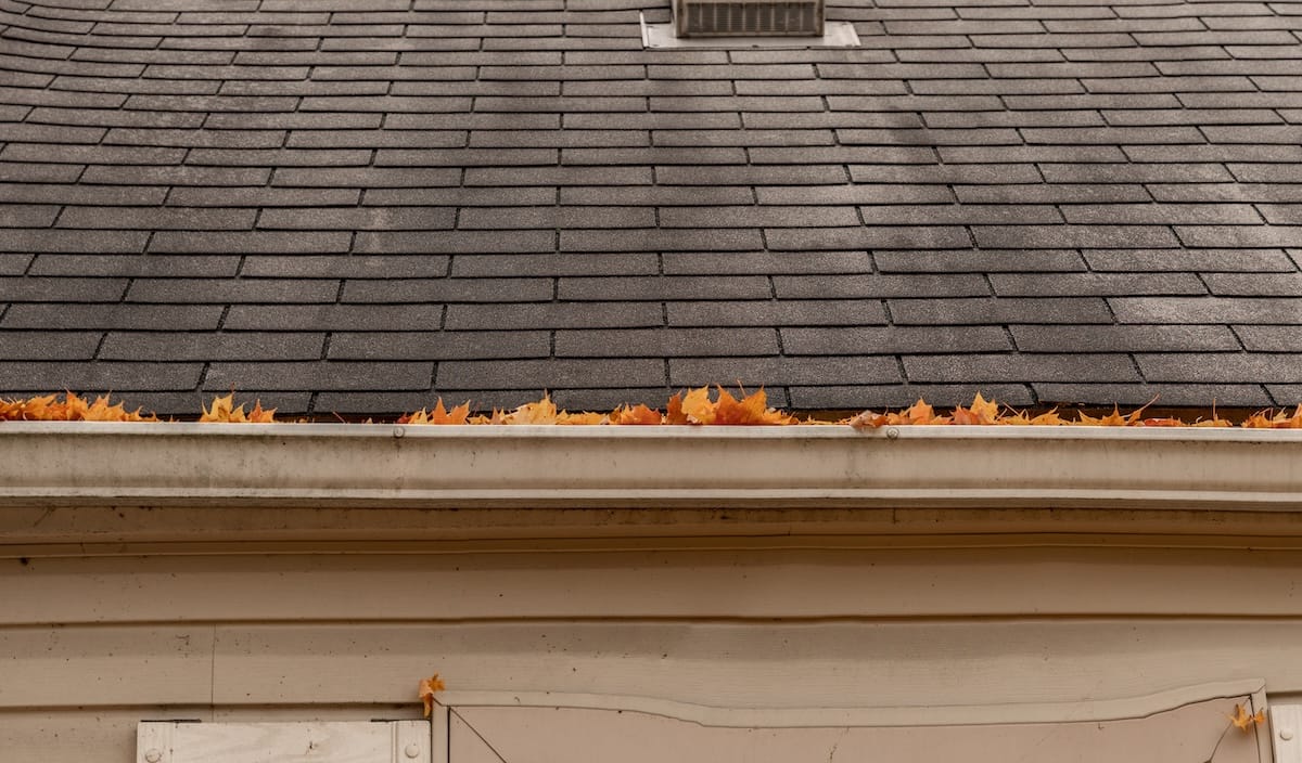 gutters are full of leaves and must be cleaned