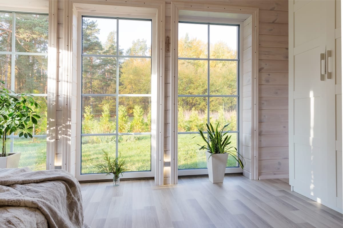Bright interior, room in wooden house with large window overlooking the autumn courtyard. Golden autumn landscape in white window. Home and garden, fall concept. Plant Sansevieria trifasciata.