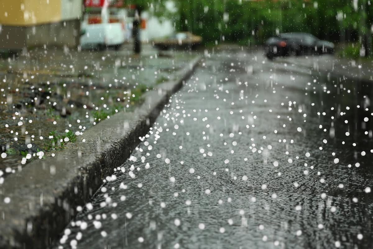 hailing on roof shingle damage inspection