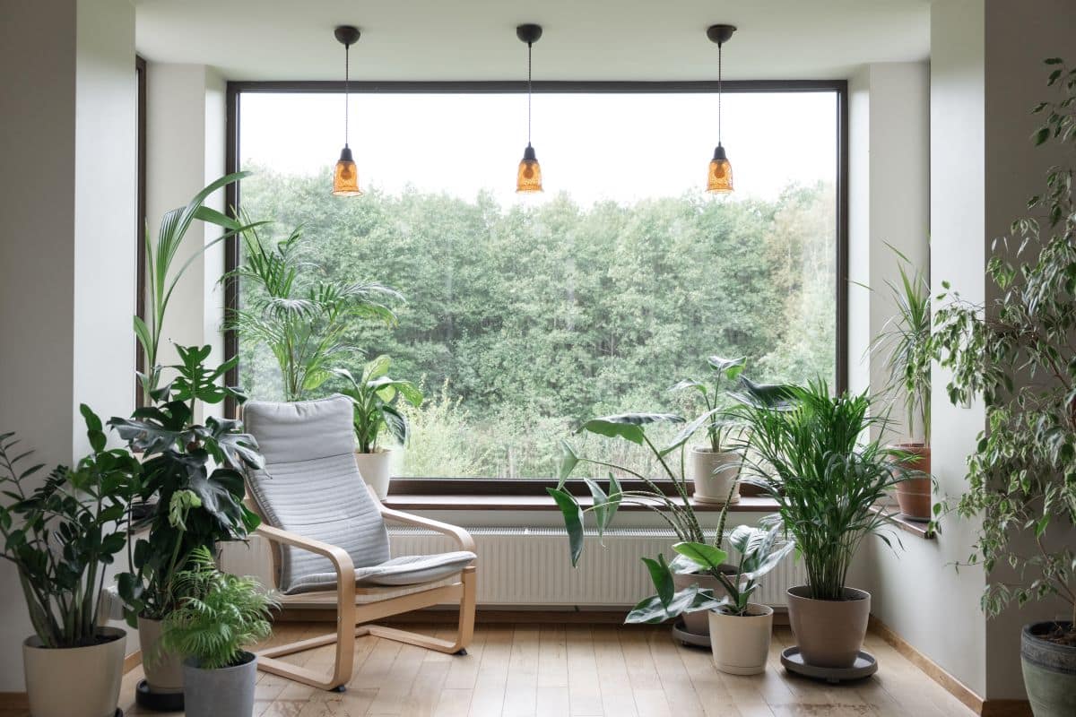 cozy nook in a living room with a large window and many plants