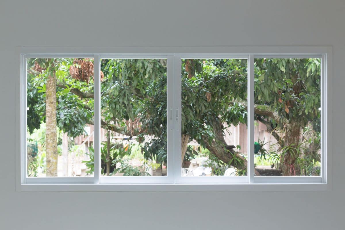 large window with a tree outside