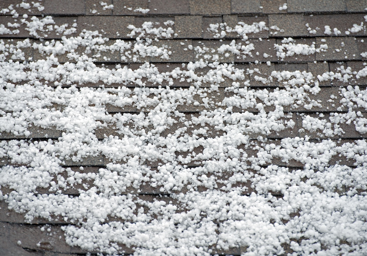 Close-up of hail on asphalt roof after storm