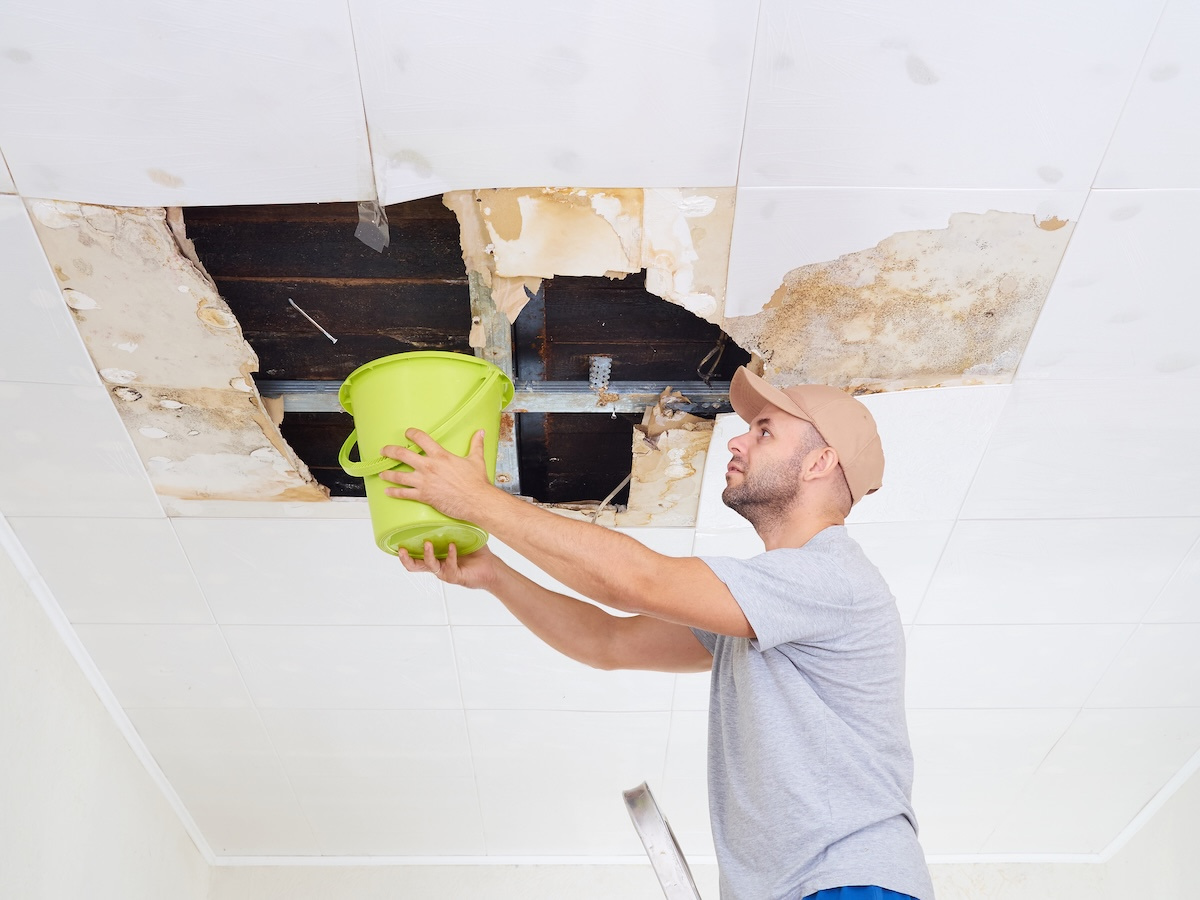 Man Collecting Water In Bucket From water-damaged Ceiling