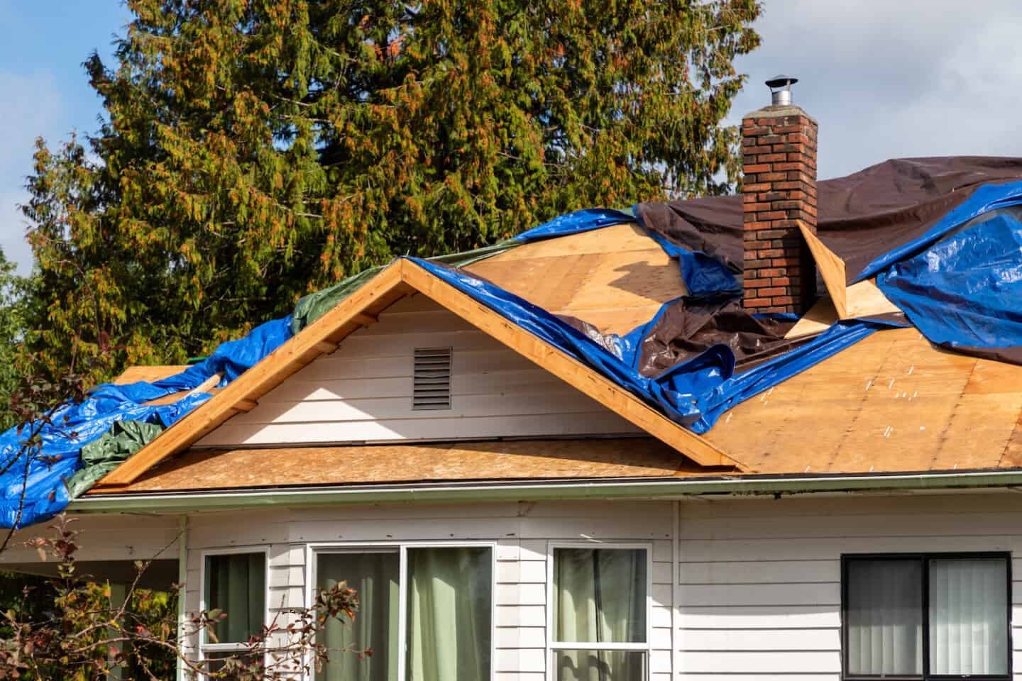 Storm Damage Clean Up
tarping