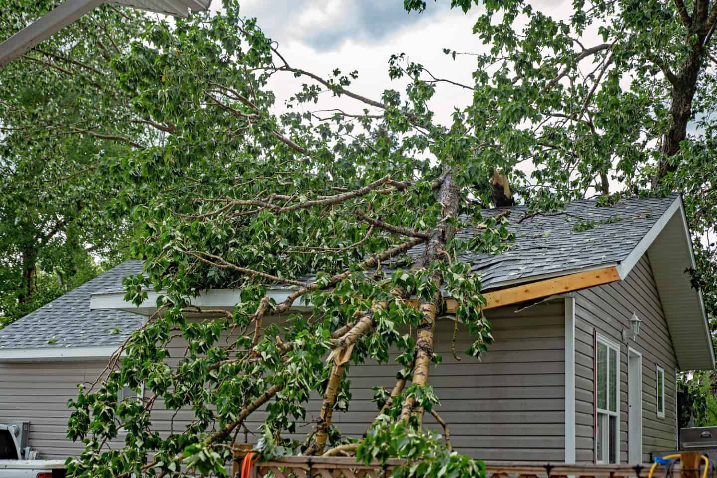 upper arlington storm damage tree