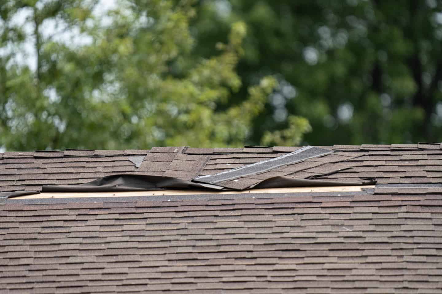 roof damage insurance claims torn
