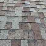 shingle roof with hail damage after storm