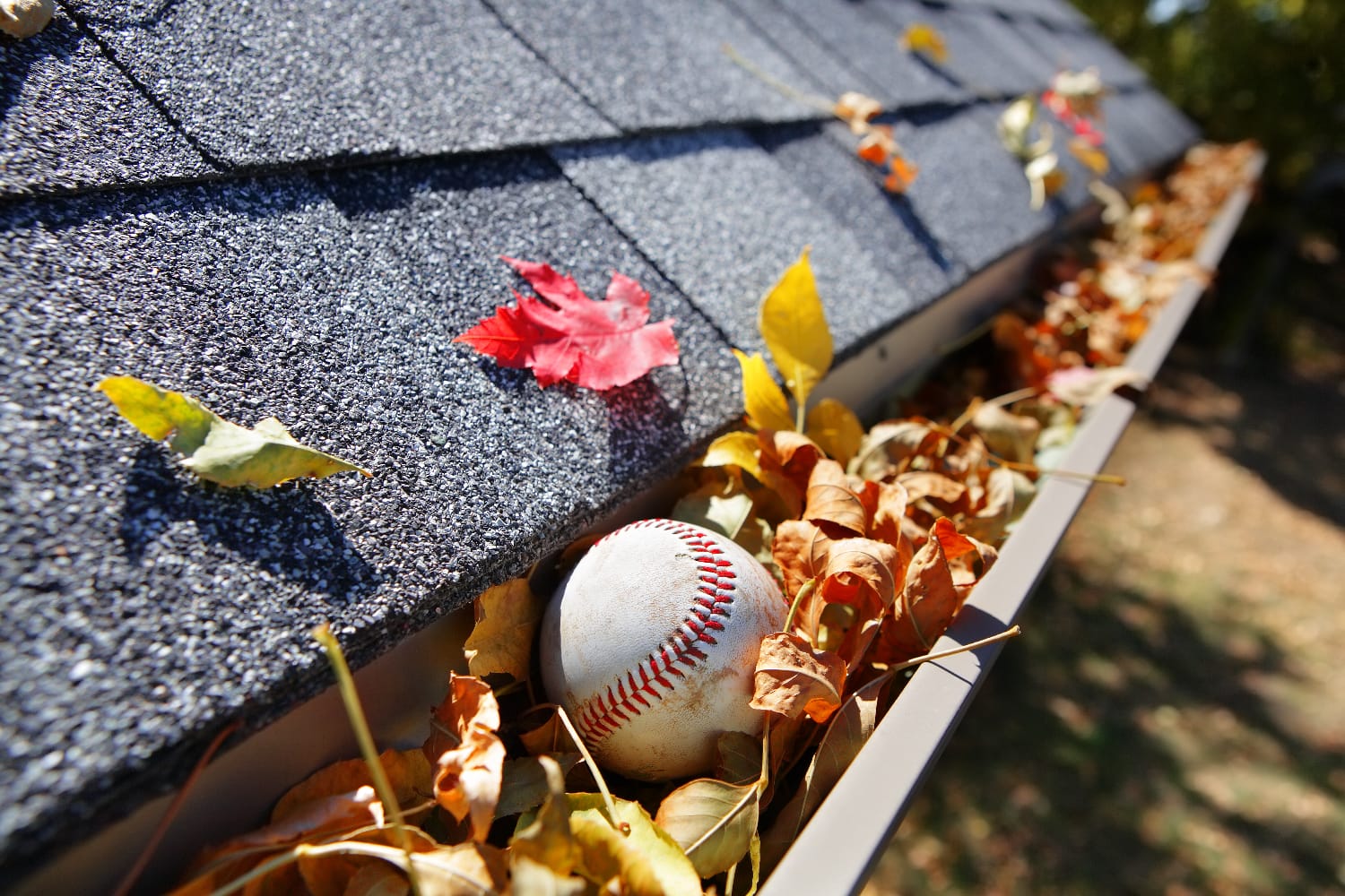 a ball and dried leaves stucked in gutter