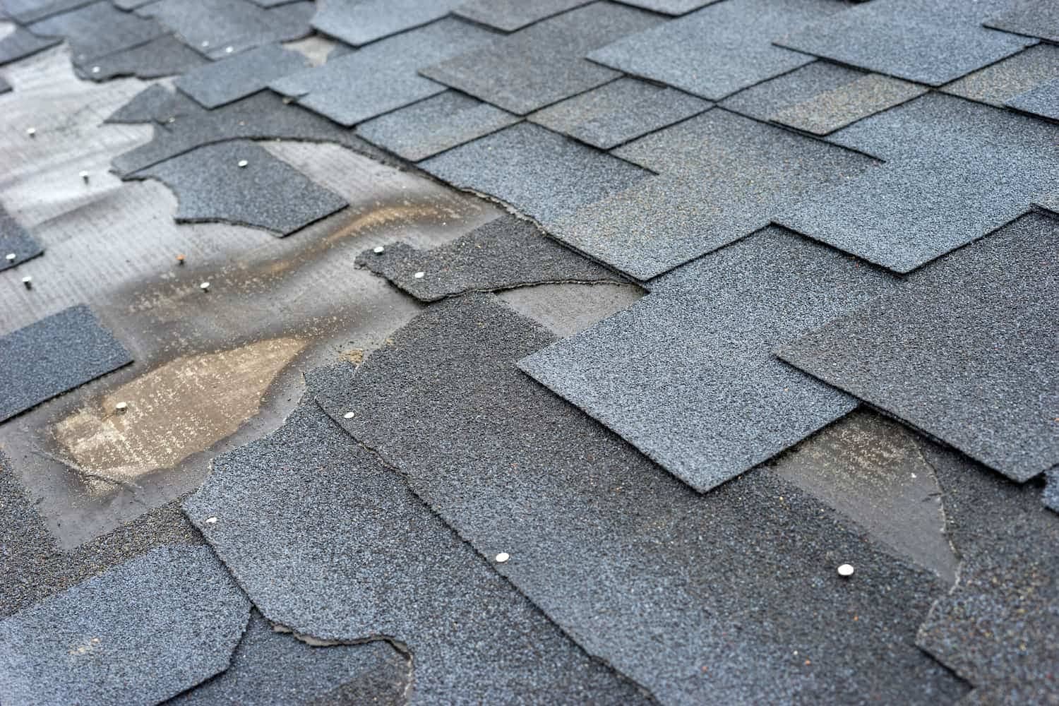 how long does a roof last damage