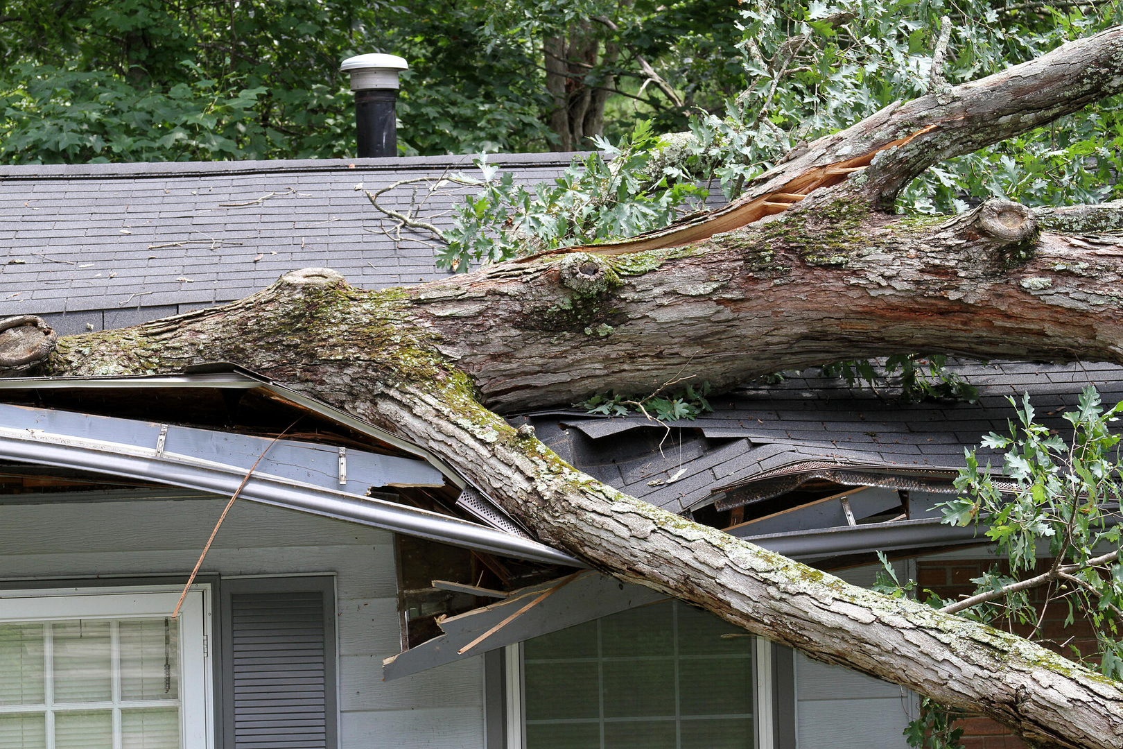 roof warranty-tree damage to roof
