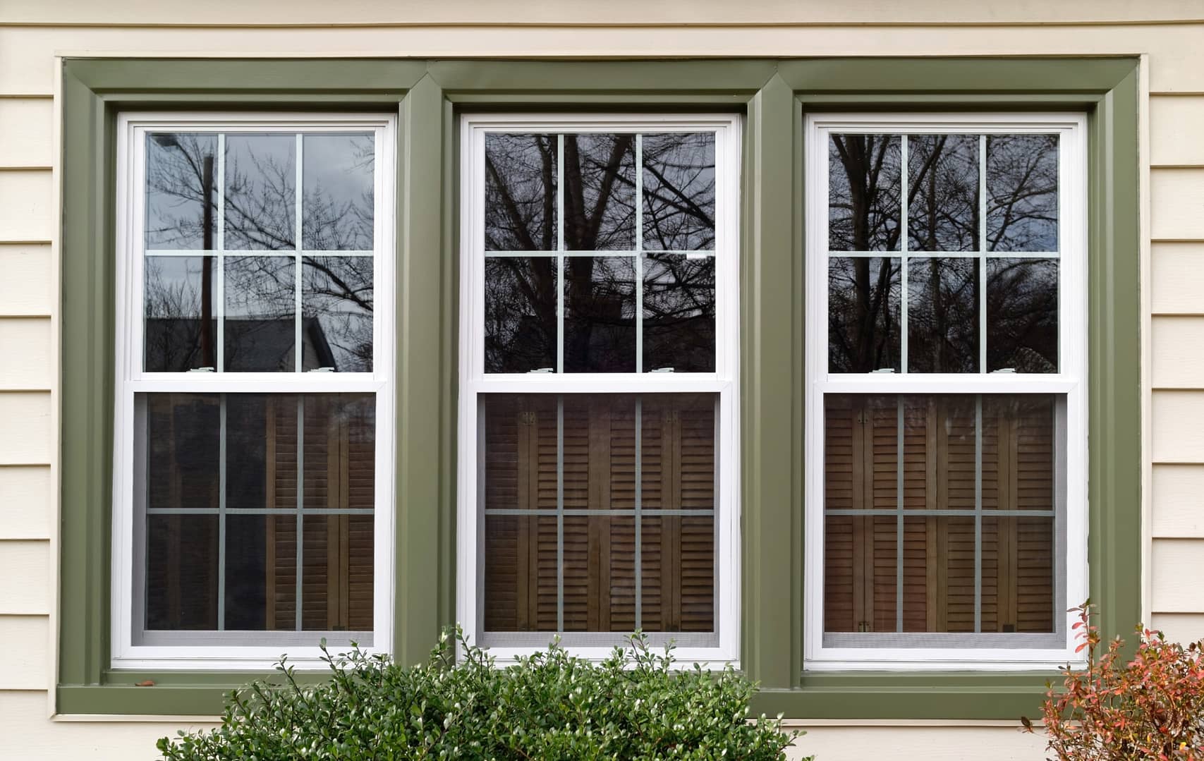 white provia window