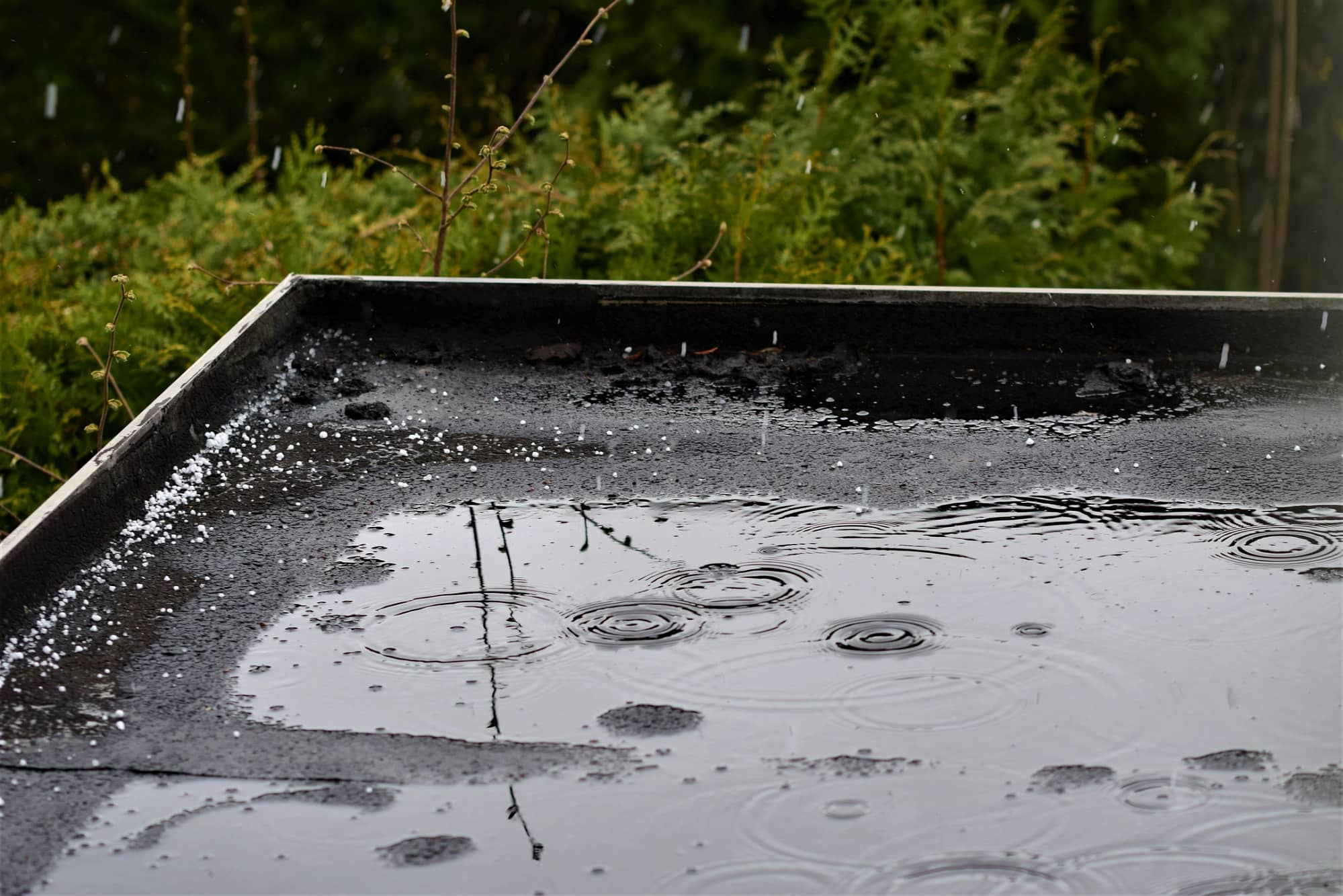 rain and hail falling on black commercial flat roof with trees behind